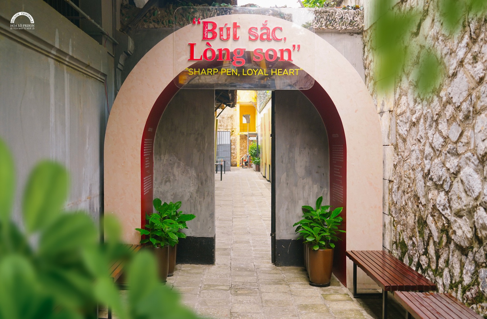 Những triển lãm 