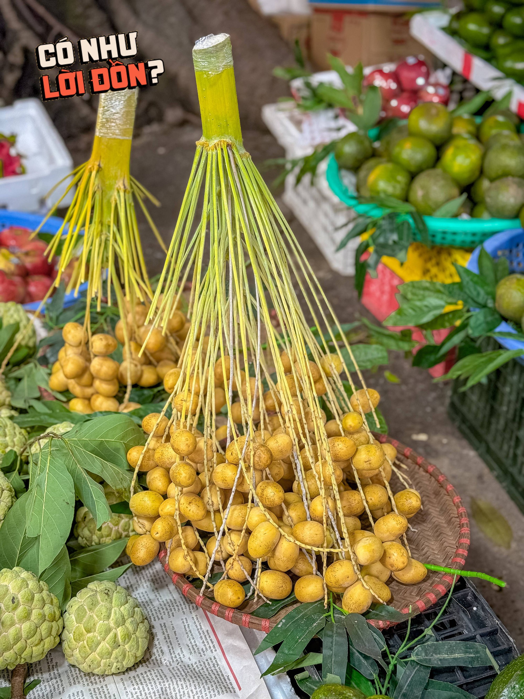 Check var loại quả 