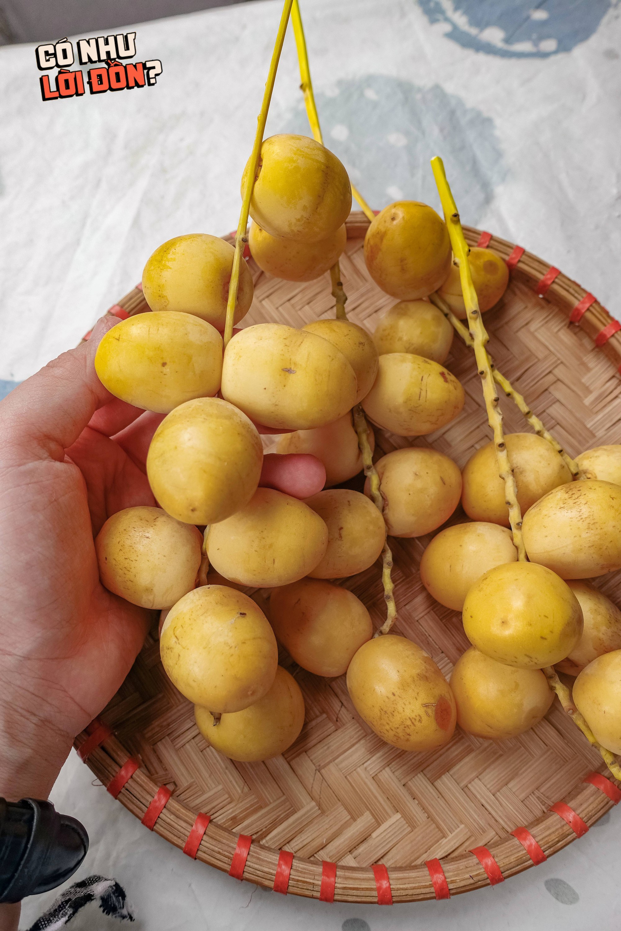 Check var loại quả 