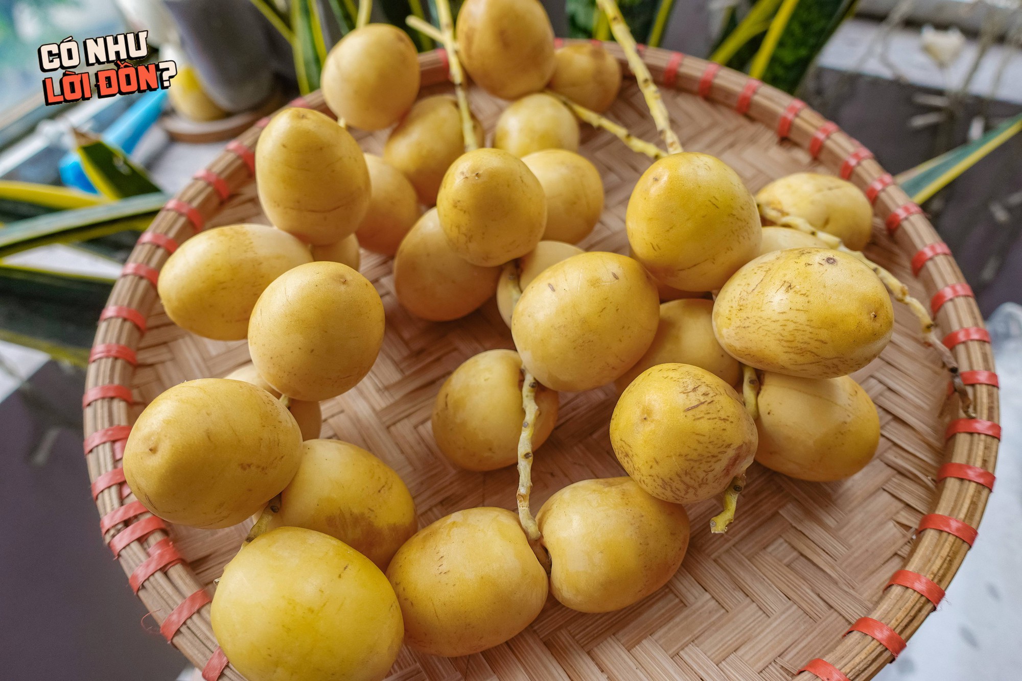 Check var loại quả 