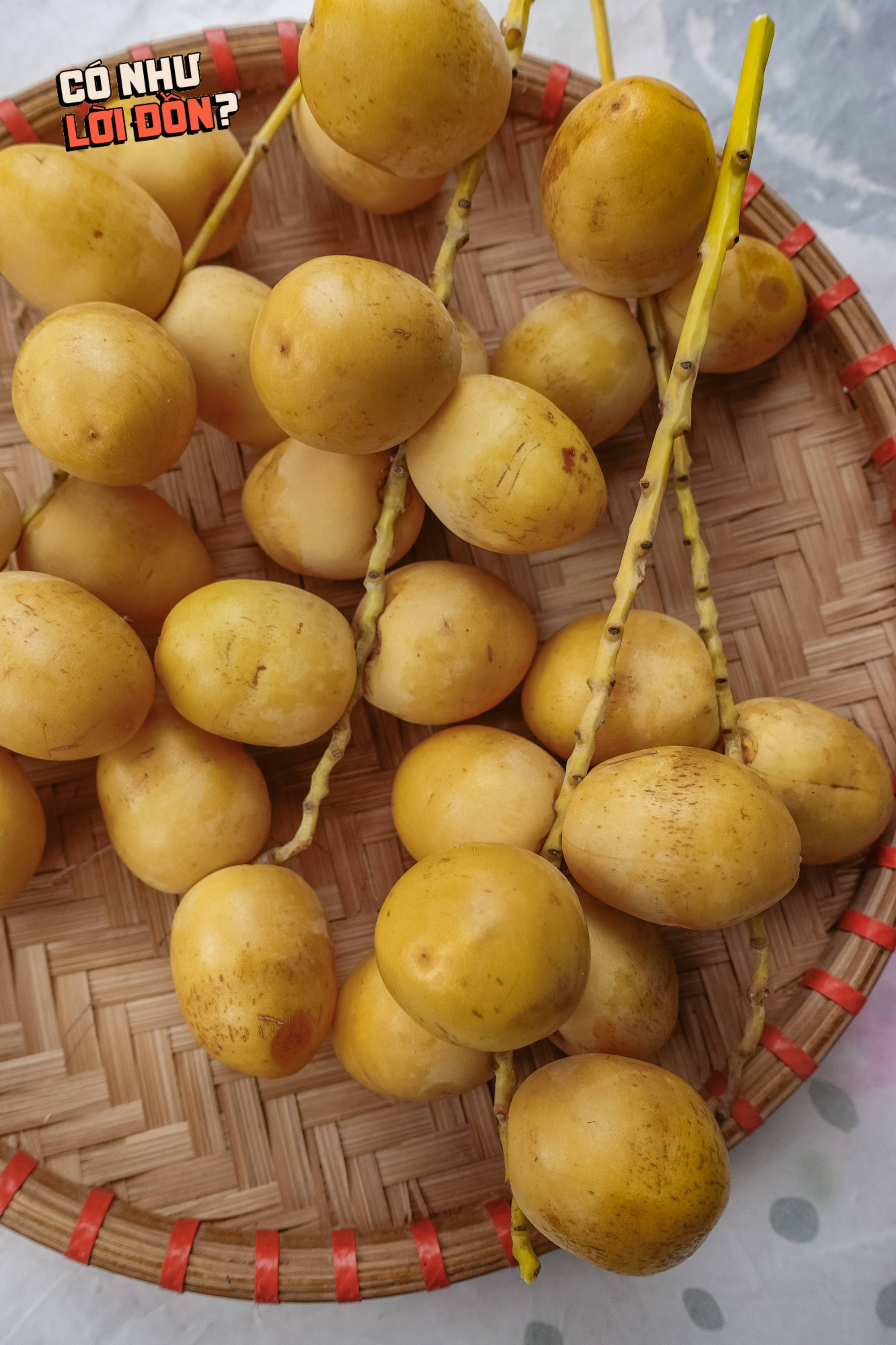 Check var loại quả 