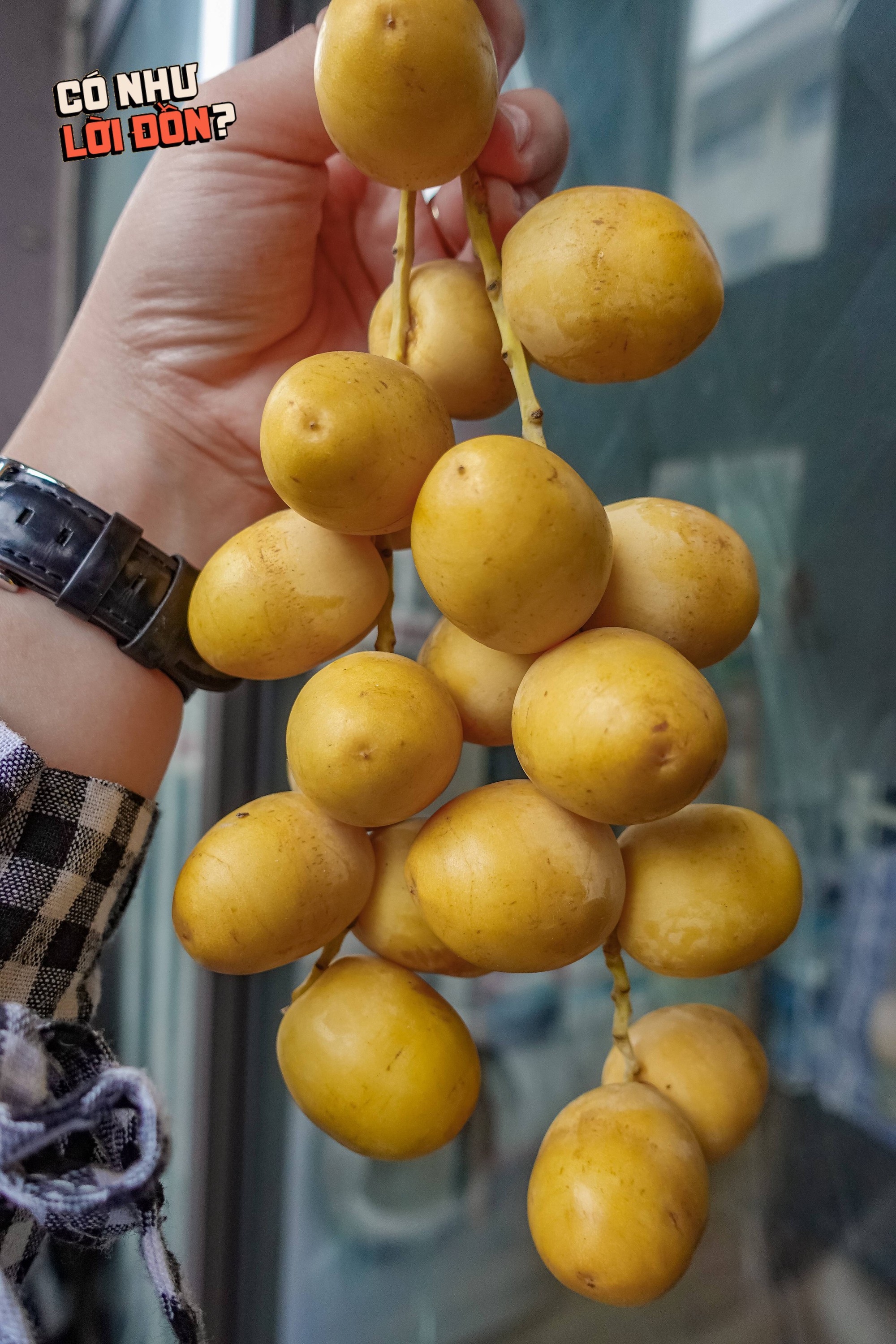 Check var loại quả 