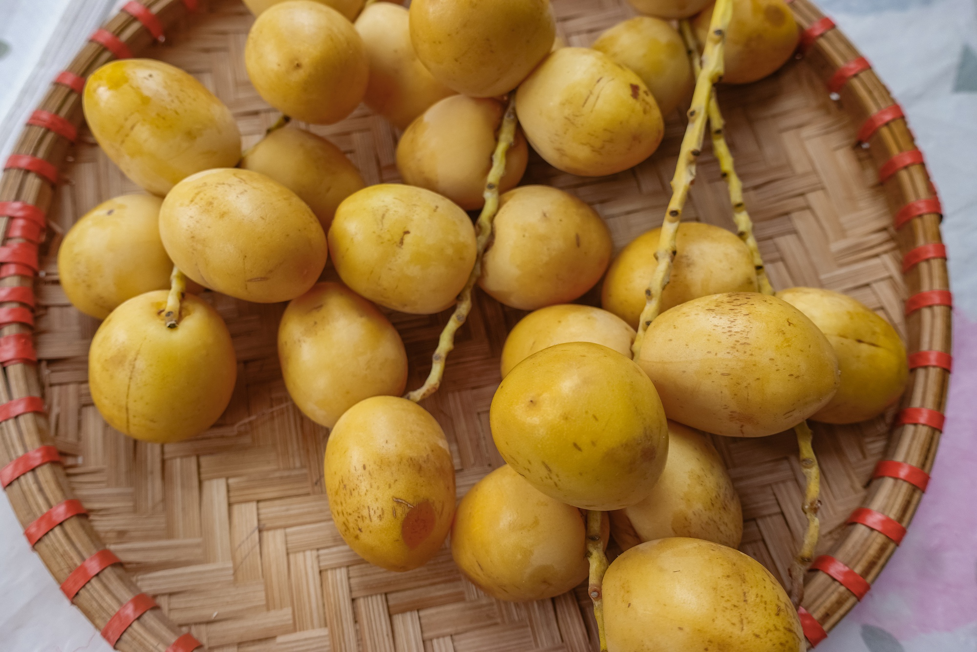 Check var loại quả 