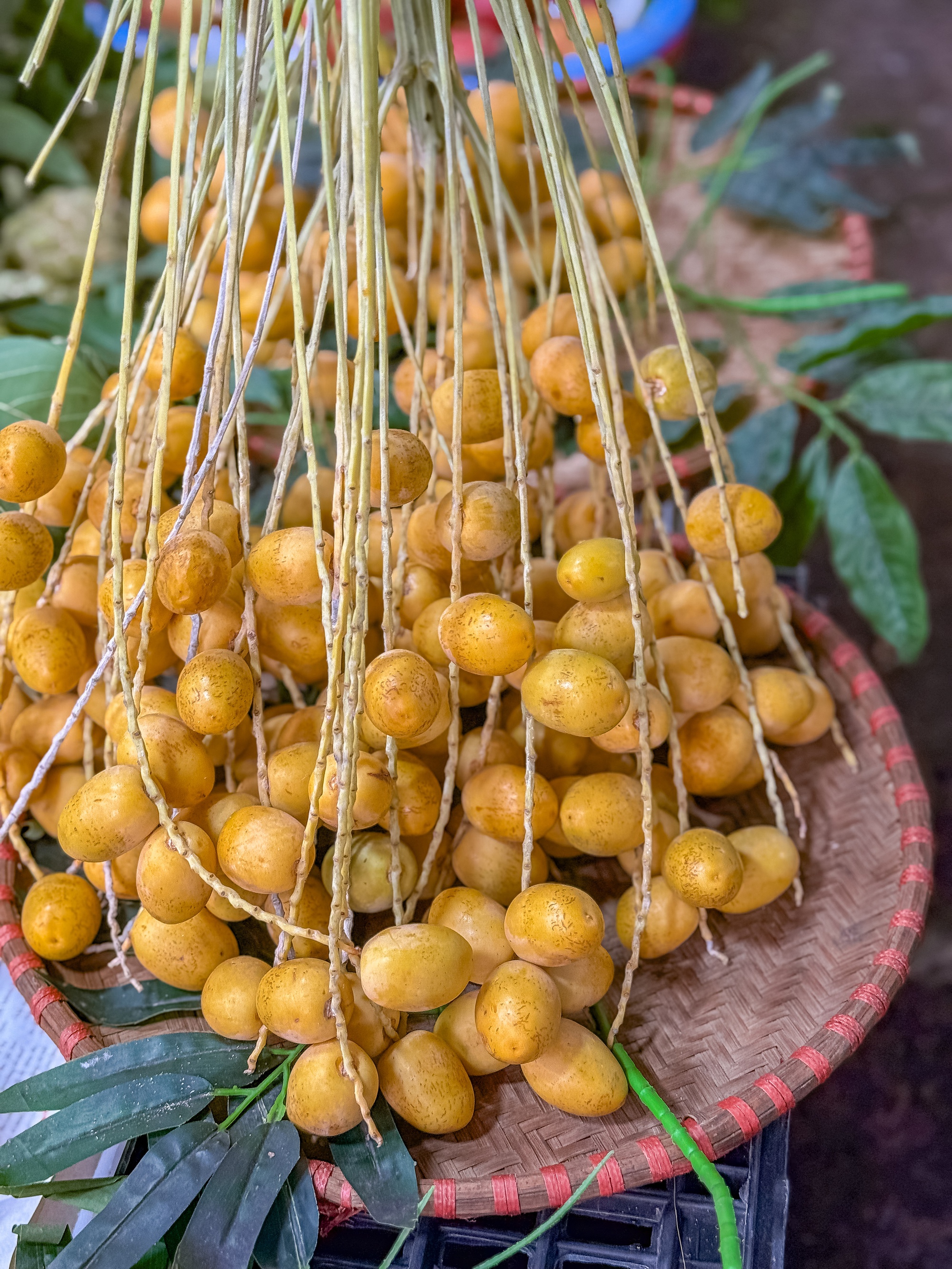 Check var loại quả 