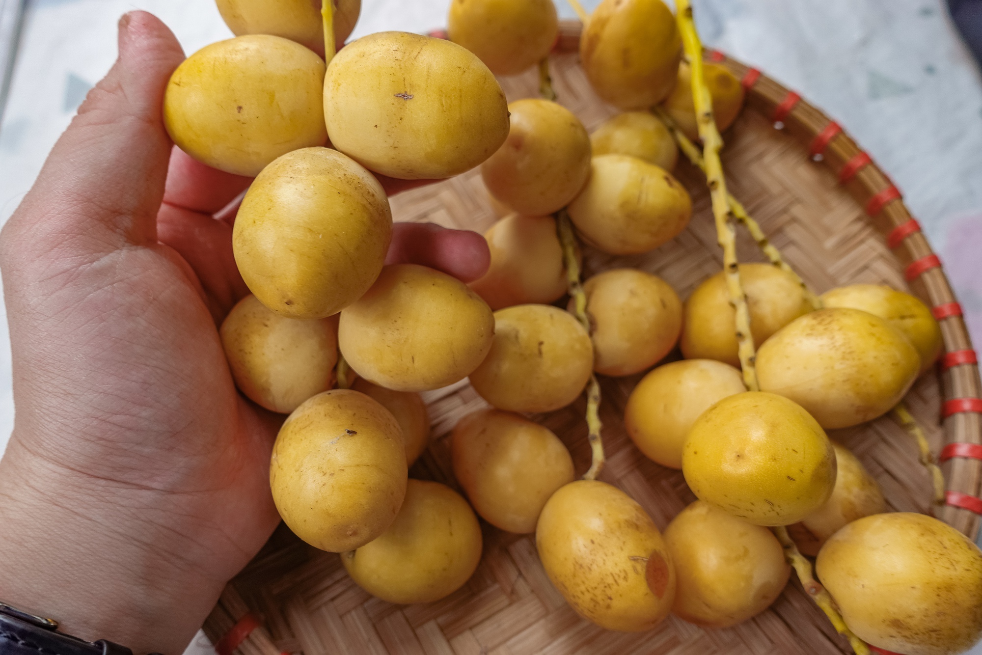 Check var loại quả 