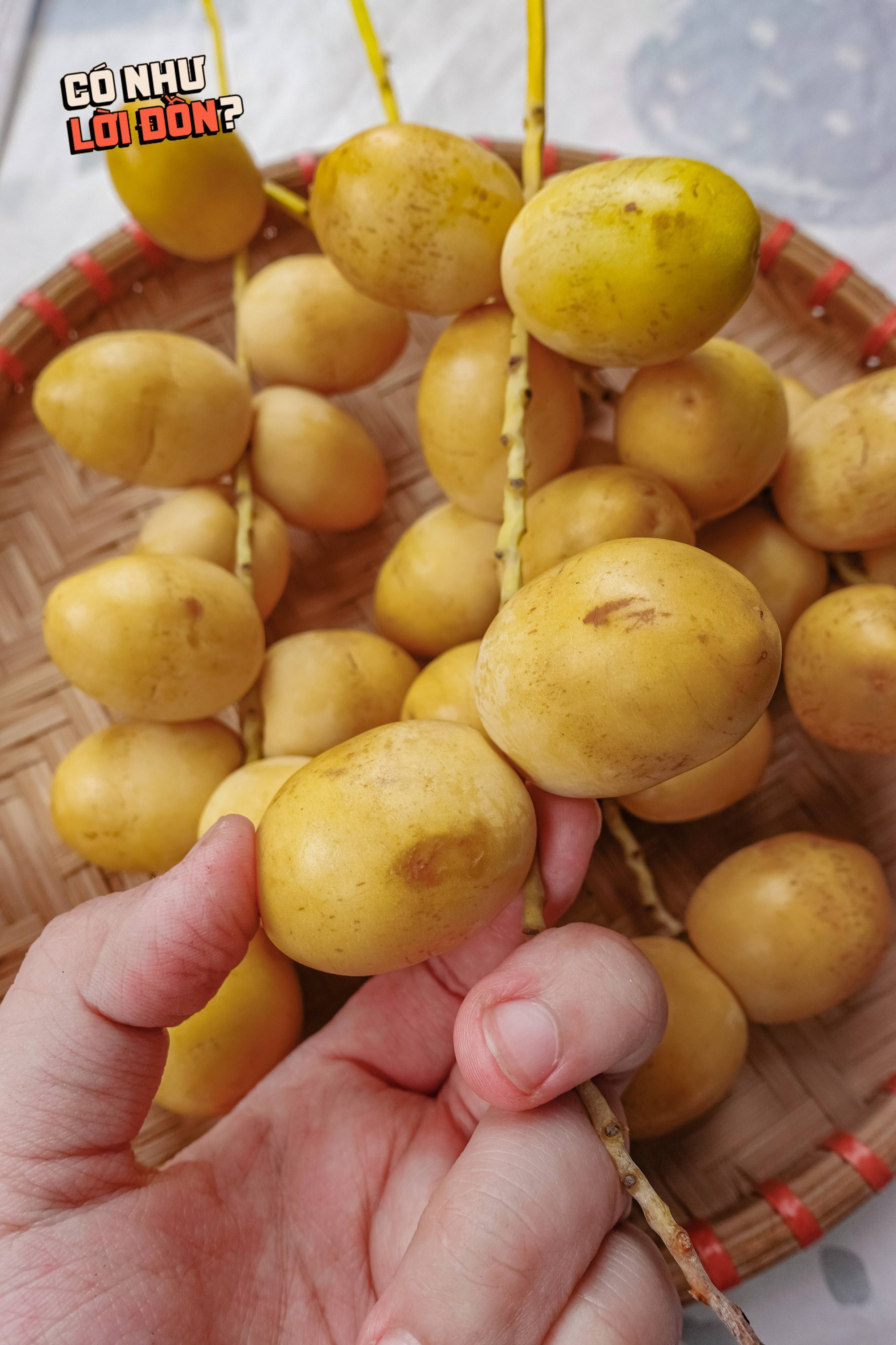 Check var loại quả 