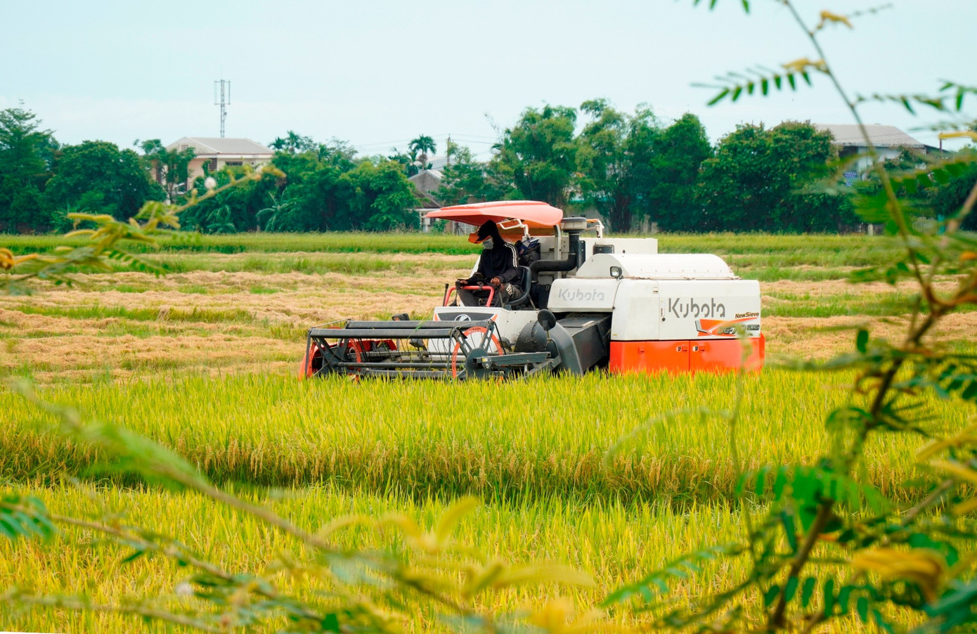 Huế yêu cầu kêu gọi tàu thuyền vào bờ tránh bão số 5 trước 19h tối nay- Ảnh 2.