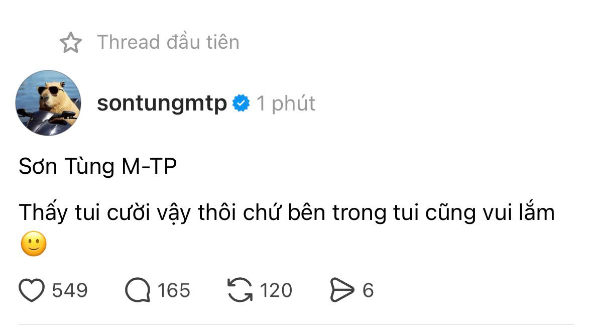 Sơn Tùng M-TP đang làm to chuyện: Trend giỡn nhây chống flop này bạn đã đu chưa?- Ảnh 9.