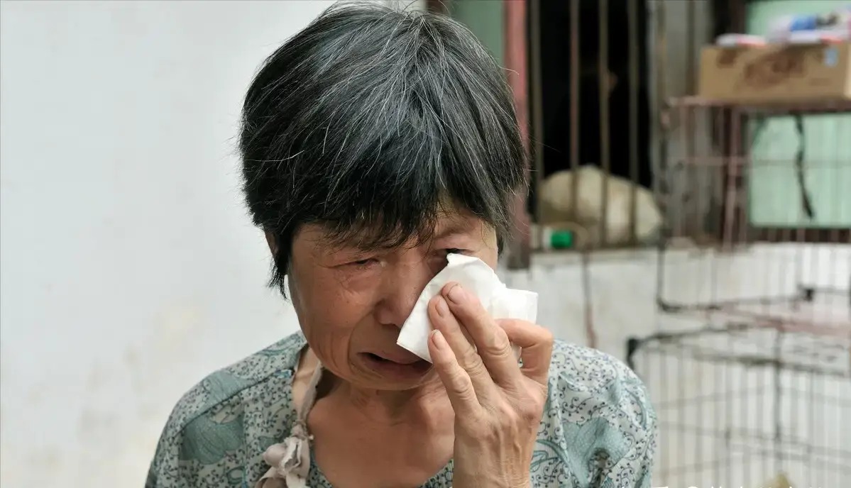 Lên thành phố chăm cháu 2 năm, ngày trở về mẹ vợ không nhận được phong bì mà là chiếc hộp: Tức phát khóc khi mở ra- Ảnh 1.