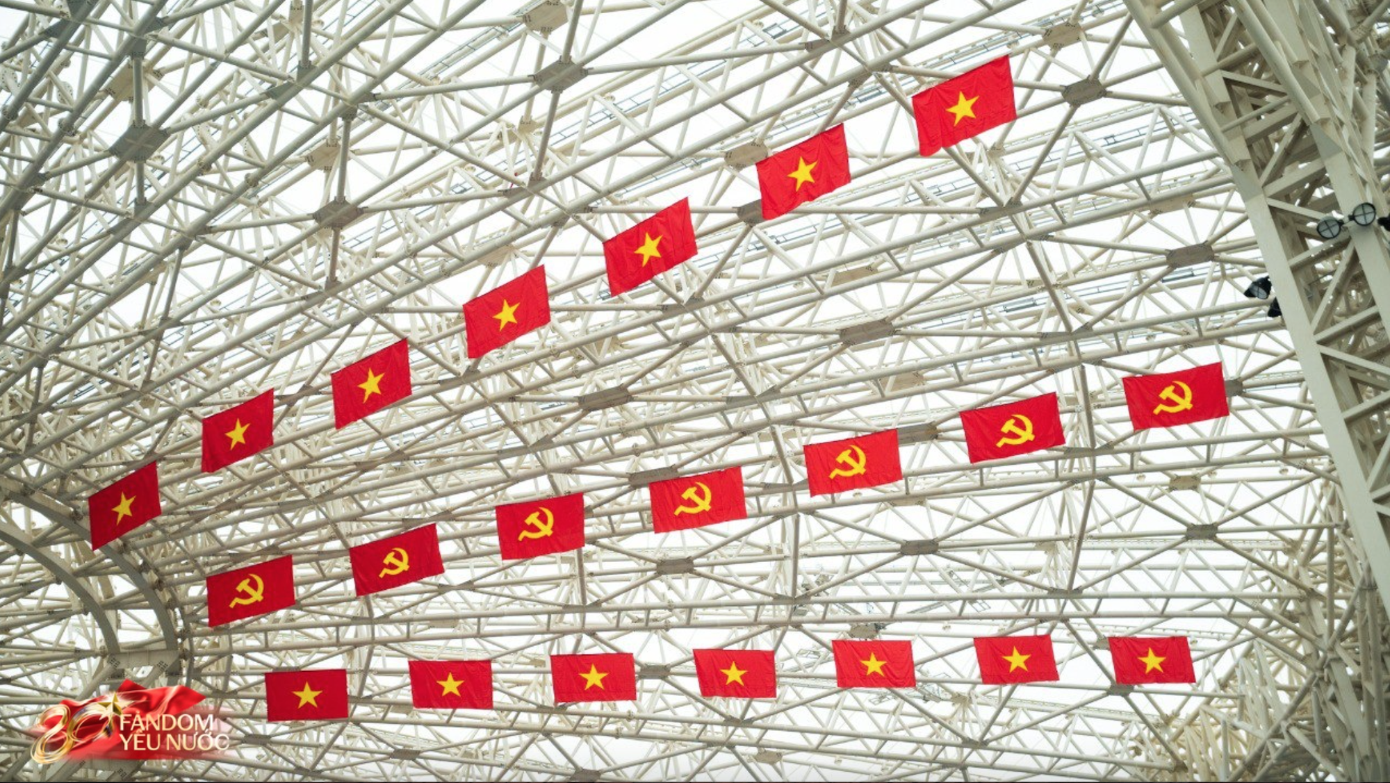 Những triển lãm 