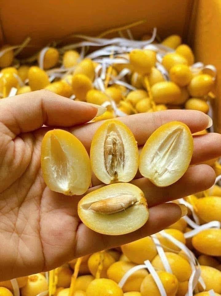 Chợ hoa quả tháng 8: Chà là bất ngờ “soán ngôi” xoài, nho để thành mặt hàng hot nhất- Ảnh 12.
