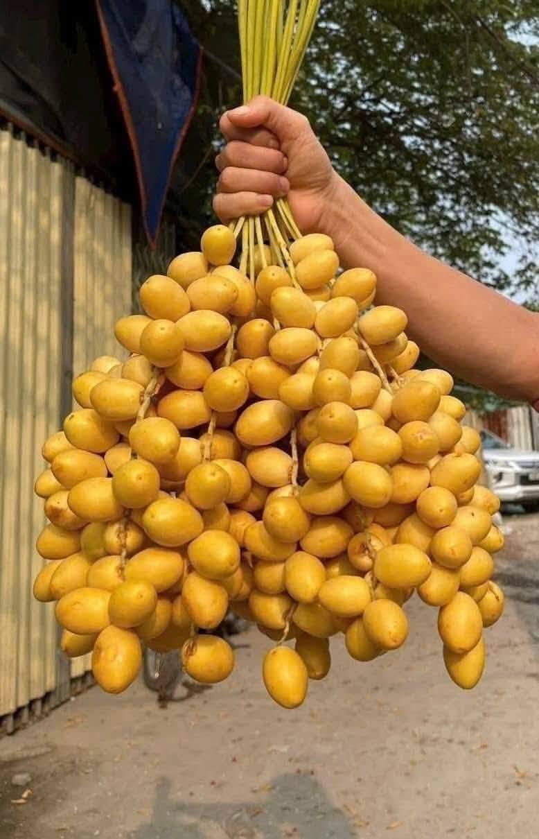 Chợ hoa quả tháng 8: Chà là bất ngờ “soán ngôi” xoài, nho để thành mặt hàng hot nhất- Ảnh 3.