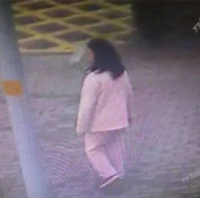 Trượt đại học, nữ sinh mang ám ảnh suốt 7 năm: 25 tuổi đi viện cùng mẹ rồi biến mất đầy bí ẩn- Ảnh 3.