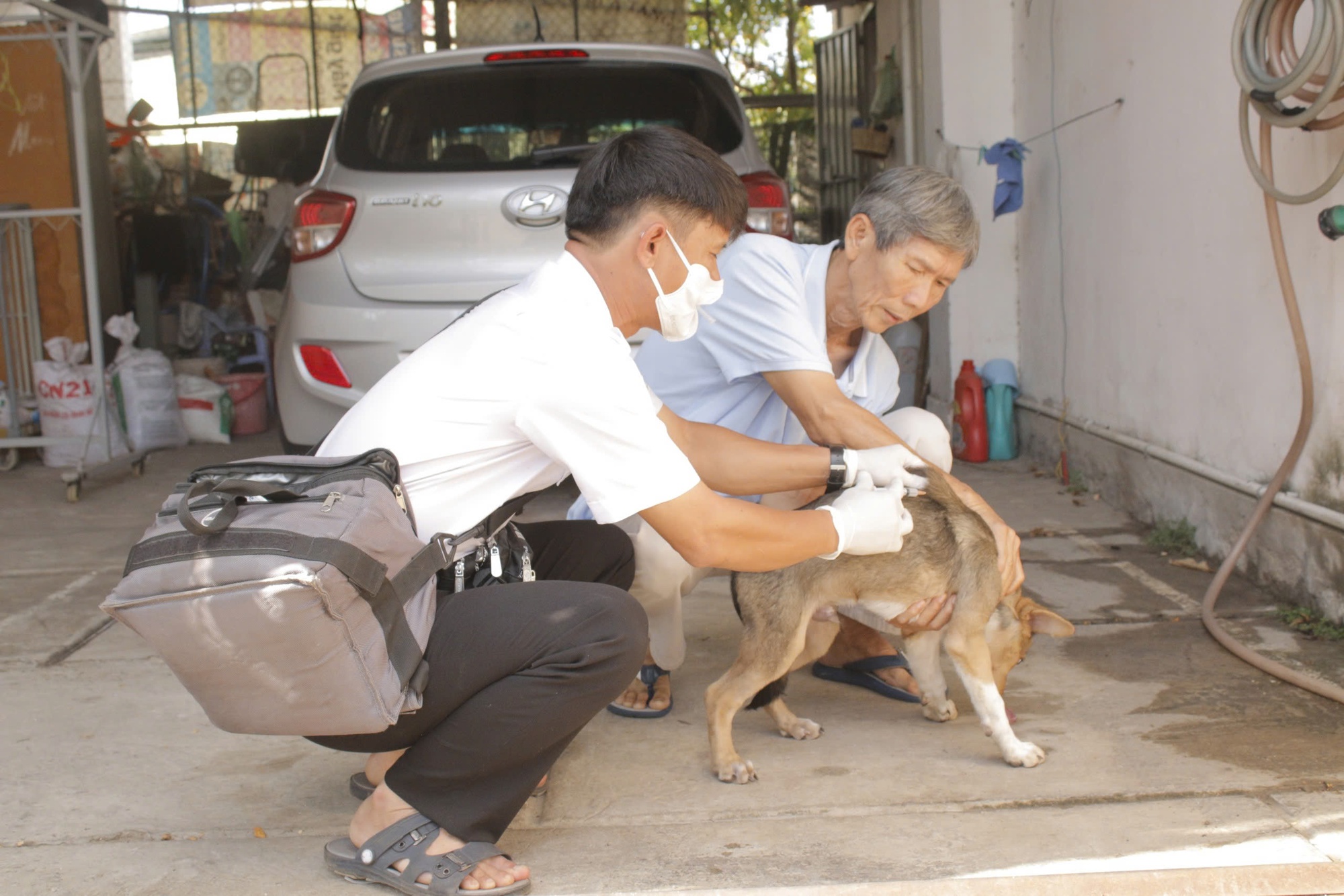 Vụ người đàn ông ở TP HCM bị chó, rắn cắn tử vong: Khẩn trương khoanh vùng xử lý- Ảnh 1.