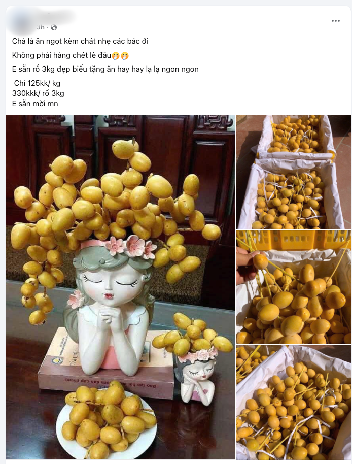 Chợ hoa quả tháng 8: Chà là bất ngờ “soán ngôi” xoài, nho để thành mặt hàng hot nhất- Ảnh 8.