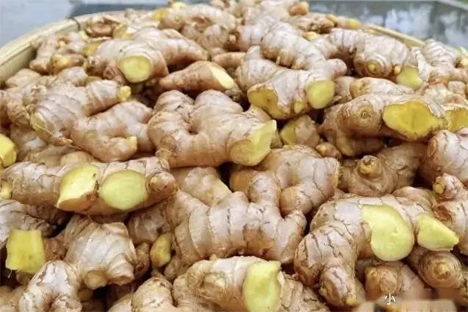 Gừng rất tốt nhưng nhiều người đang ăn sai cách- Ảnh 1. Gừng rất tốt nhưng nhiều người đang ăn sai cách- Ảnh 1.
