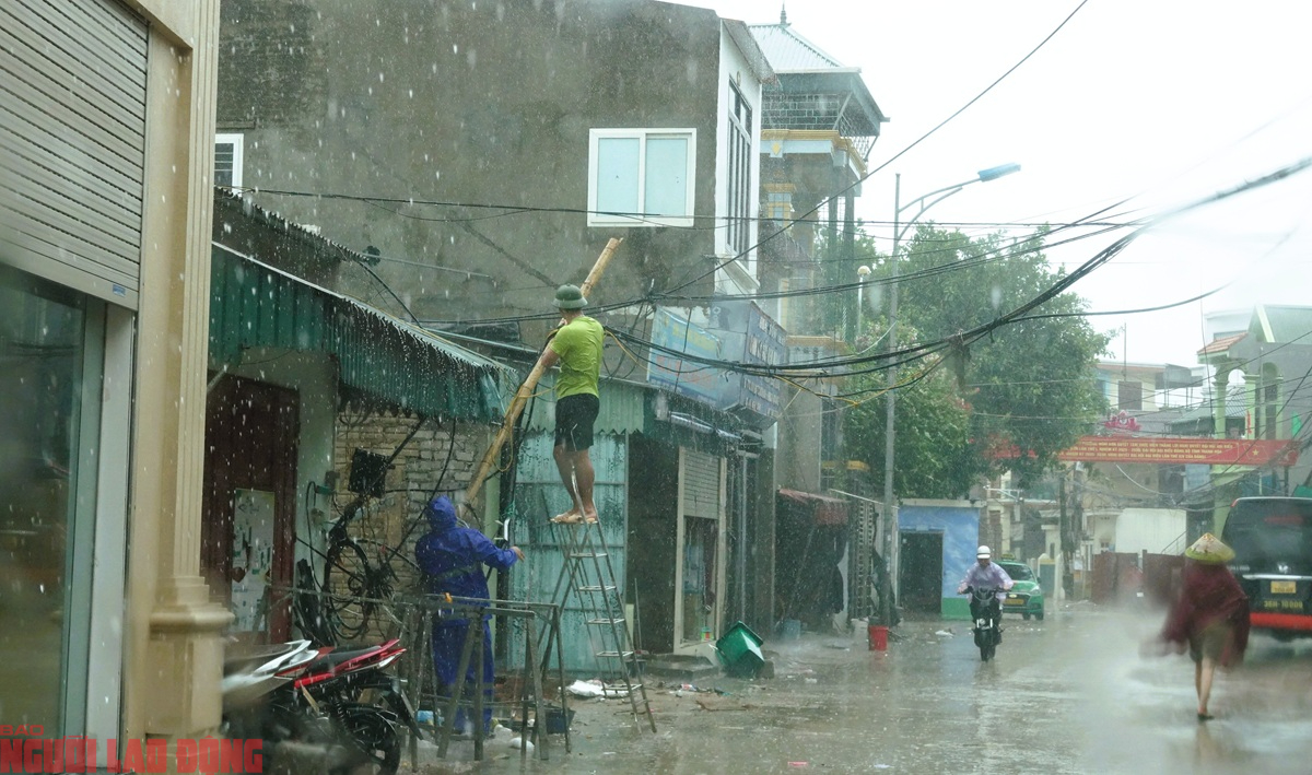 Khu nuôi cá lồng của ngư dân Thanh Hóa chìm trong mưa bão số 5- Ảnh 3.