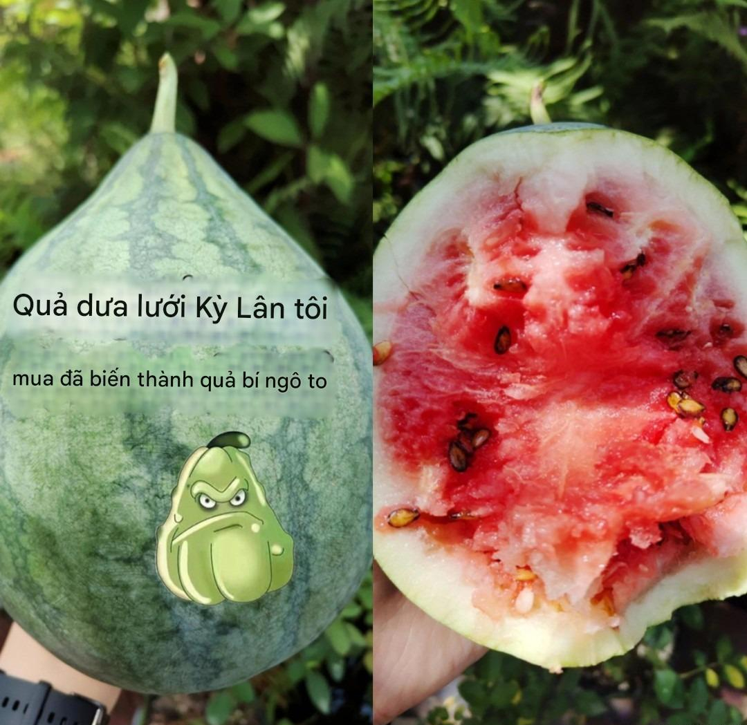 Kịch bản lừa đảo khiến người trung niên, cao tuổi tin sái cổ: Giấu con cháu mua hàng, tài khoản bốc hơi!- Ảnh 2.