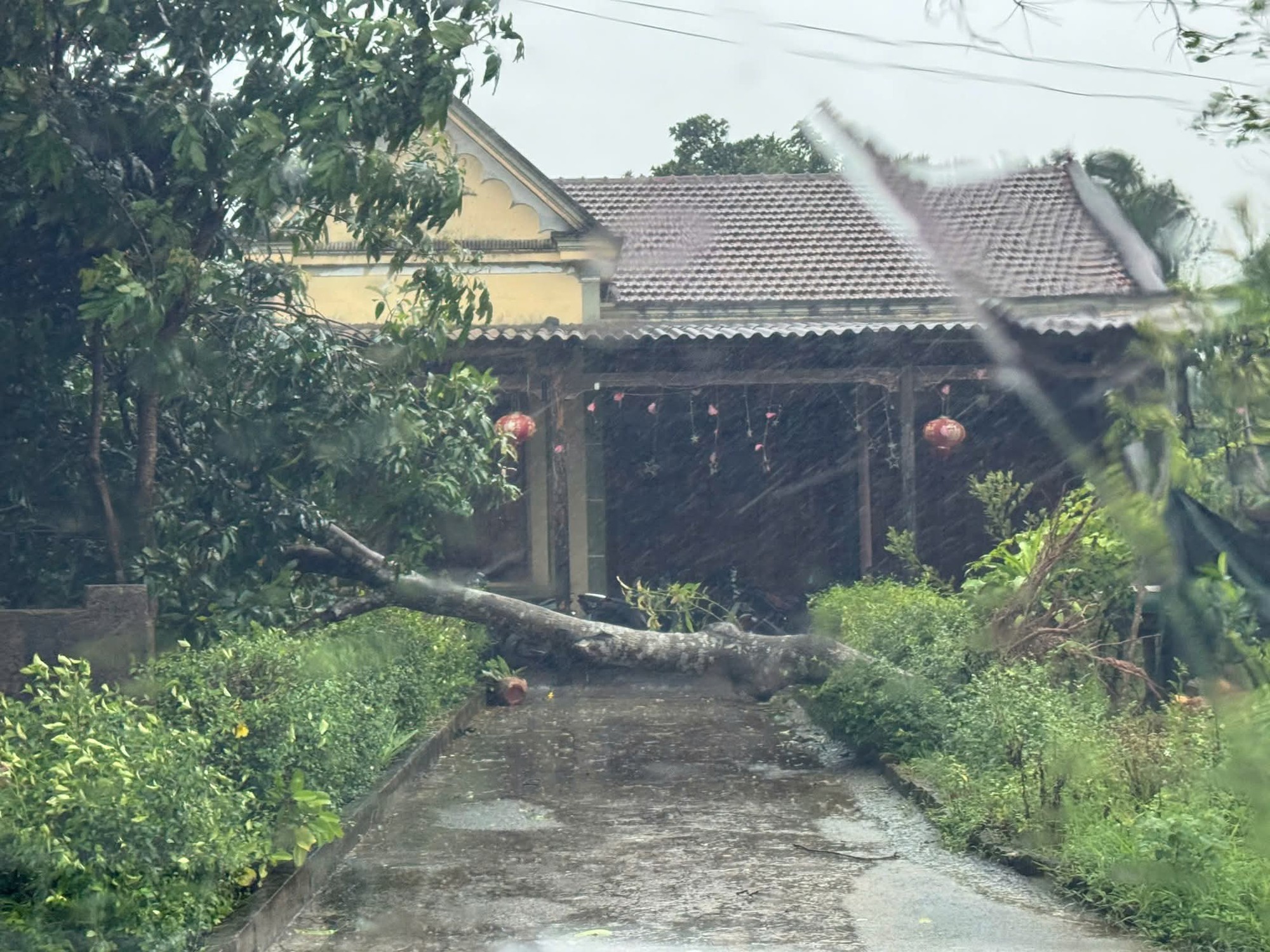 Bão số 5 (Kajiki): Hà Tĩnh mưa to, gió giật tung mái tôn, cây ngã- Ảnh 8.