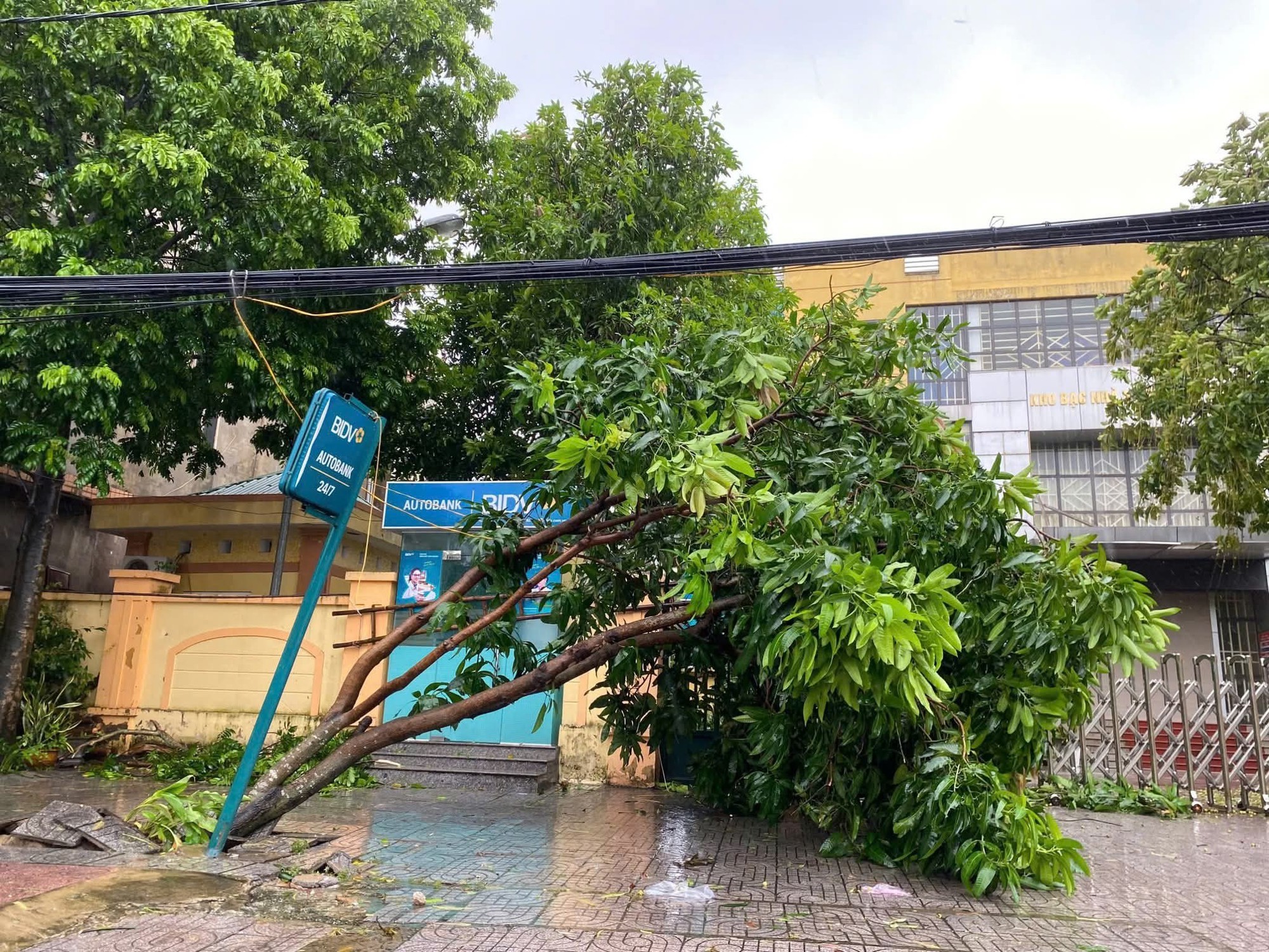 Bão số 5 (Kajiki): Hà Tĩnh mưa to, gió giật tung mái tôn, cây ngã- Ảnh 7.