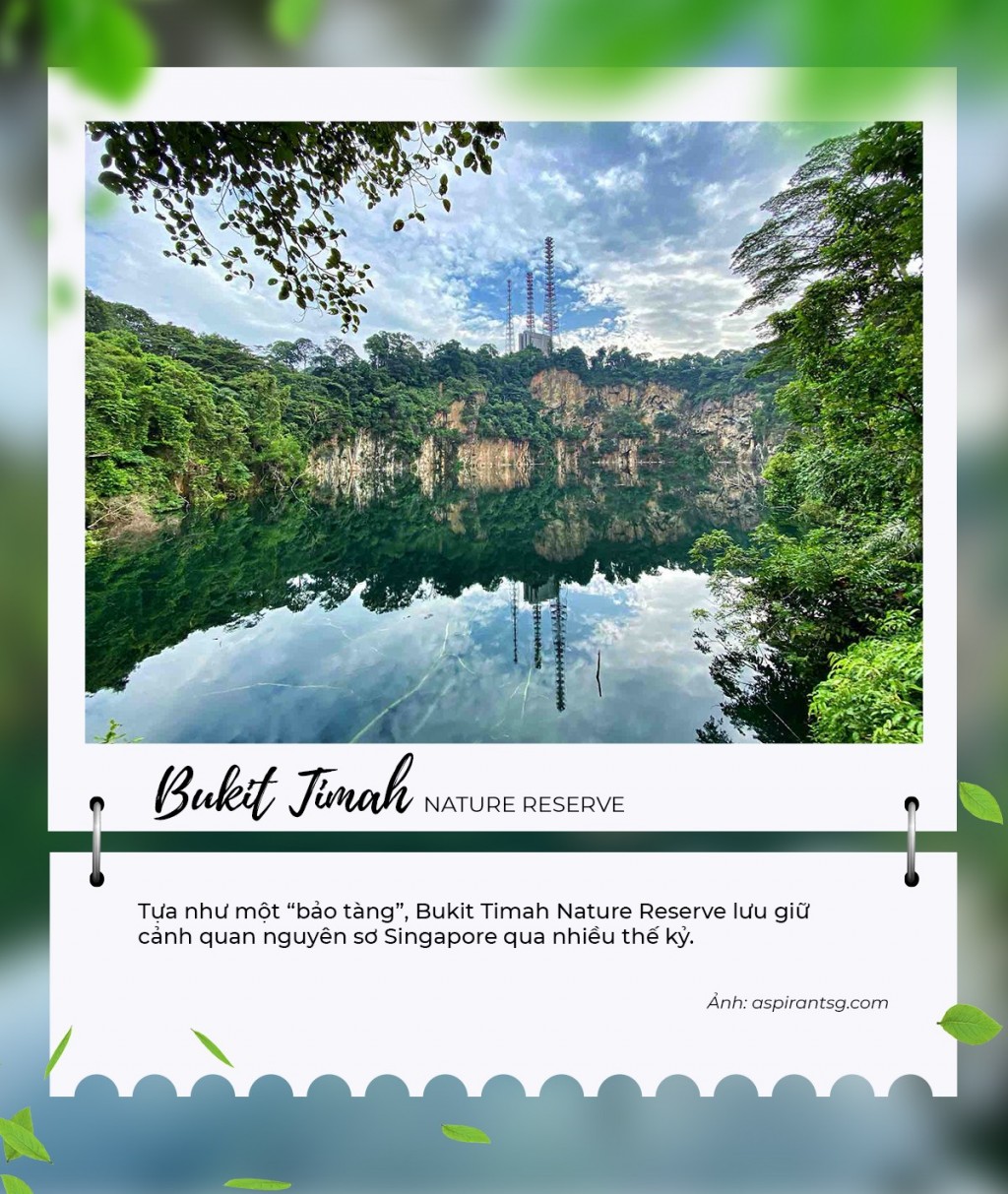 “Sống chậm” ở Bukit Timah - Một góc bình yên giữa lòng Singapore- Ảnh 1.