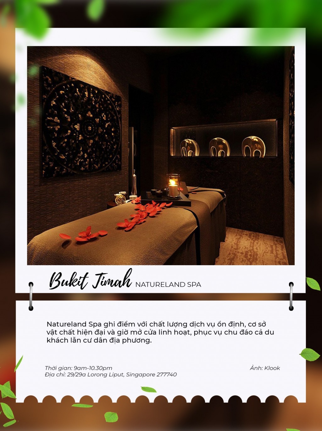 “Sống chậm” ở Bukit Timah - Một góc bình yên giữa lòng Singapore- Ảnh 6.