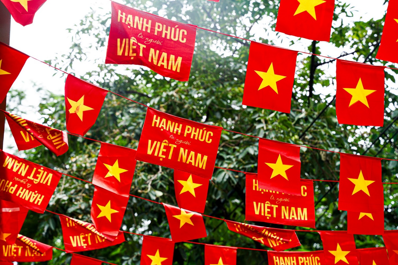 Giới trẻ rần rần check-in Photobooth SHB mừng Quốc khánh- Ảnh 7.