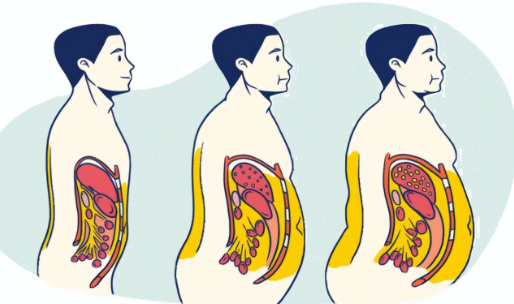 Sự thật bất ngờ: Eo càng nhỏ, não bộ càng minh mẫn- Ảnh 2.
