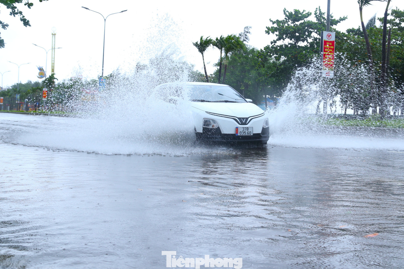 Nghệ An mưa trắng trời- Ảnh 4.