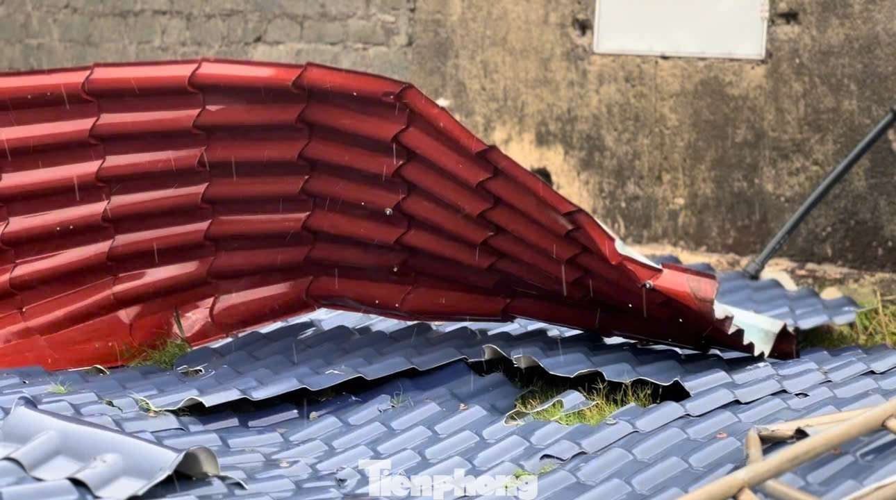 Loạt nhà tốc mái, cây gãy đổ ở Hà Tĩnh trước bão số 5- Ảnh 4.