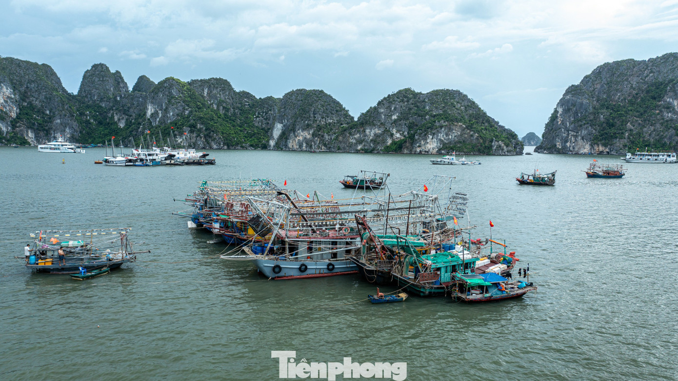 Quảng Ninh cấm biển, tàu thuyền hối hả chạy vào bờ tránh bão- Ảnh 4. Quảng Ninh cấm biển, tàu thuyền hối hả chạy vào bờ tránh bão- Ảnh 4.