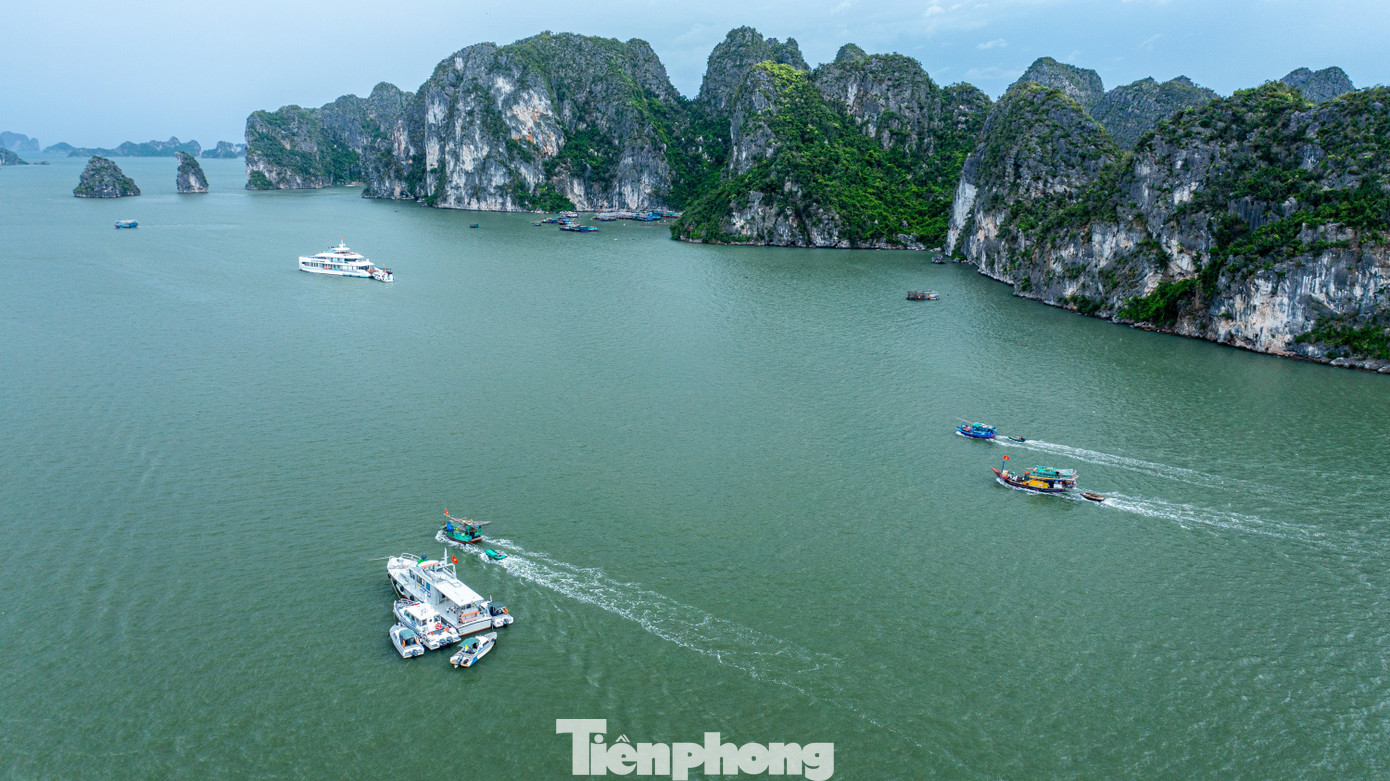 Quảng Ninh cấm biển, tàu thuyền hối hả chạy vào bờ tránh bão- Ảnh 3. Quảng Ninh cấm biển, tàu thuyền hối hả chạy vào bờ tránh bão- Ảnh 3.