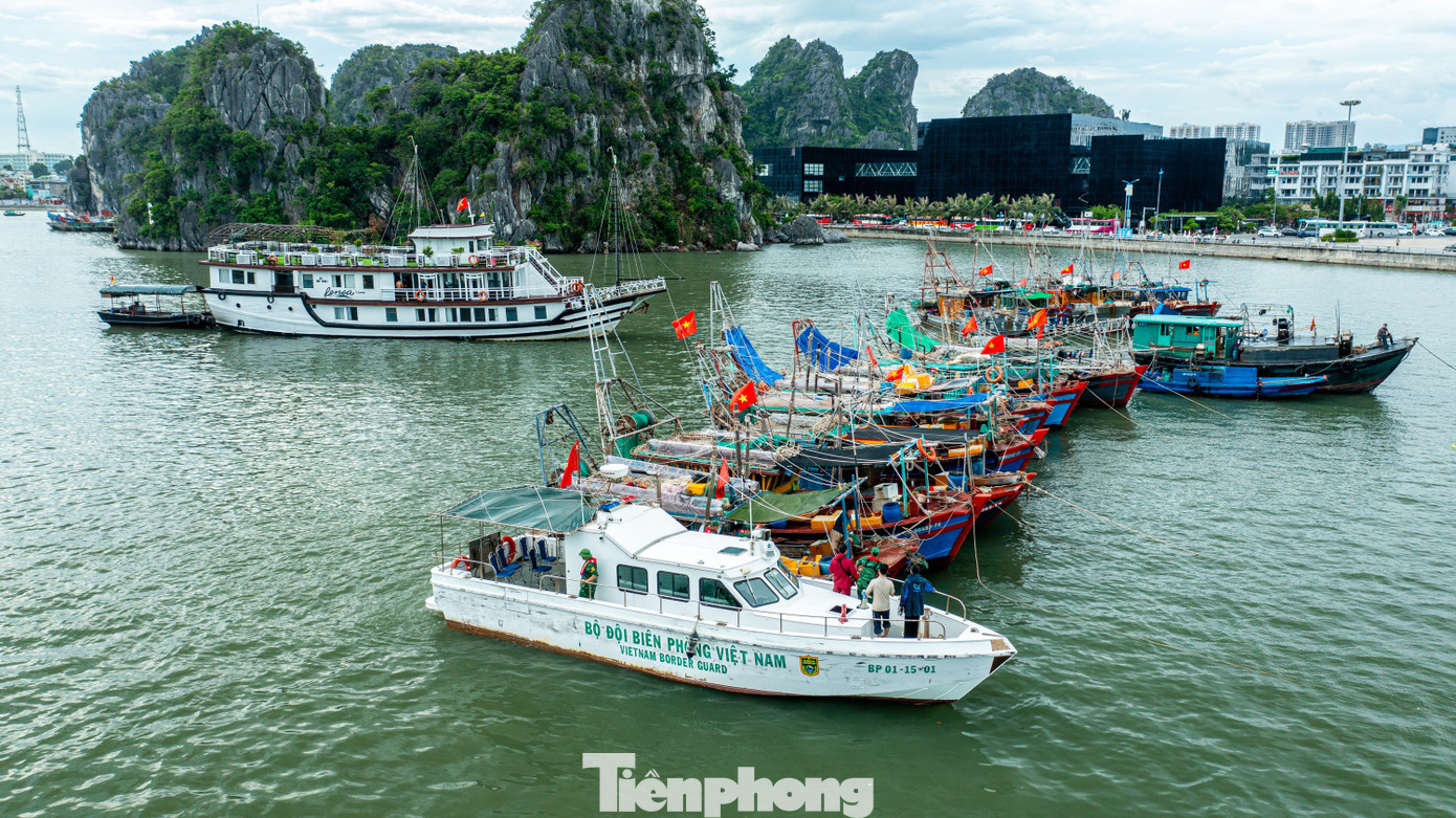 Quảng Ninh cấm biển, tàu thuyền hối hả chạy vào bờ tránh bão- Ảnh 11. Quảng Ninh cấm biển, tàu thuyền hối hả chạy vào bờ tránh bão- Ảnh 11.