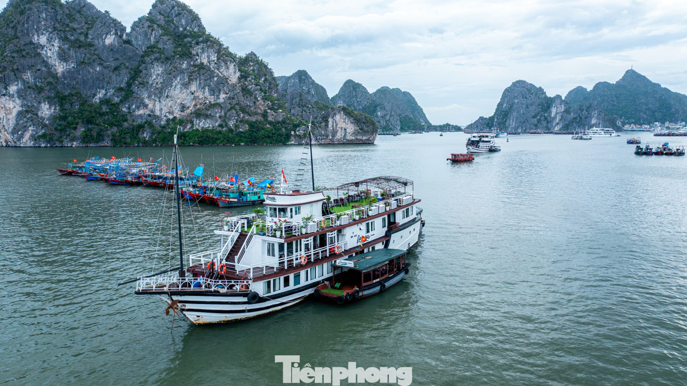Quảng Ninh cấm biển, tàu thuyền hối hả chạy vào bờ tránh bão- Ảnh 28. Quảng Ninh cấm biển, tàu thuyền hối hả chạy vào bờ tránh bão- Ảnh 28.