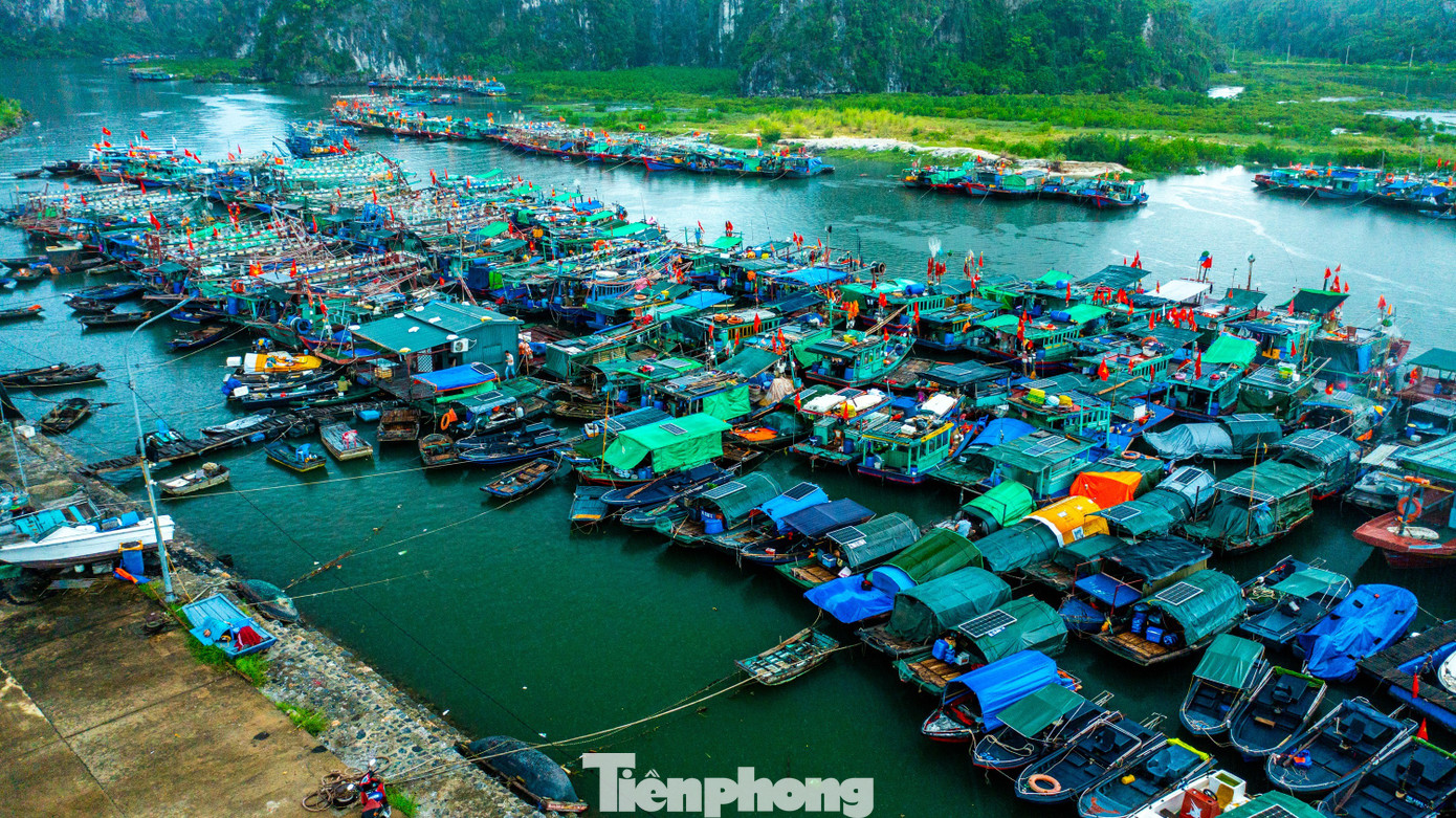 Quảng Ninh cấm biển, tàu thuyền hối hả chạy vào bờ tránh bão- Ảnh 17. Quảng Ninh cấm biển, tàu thuyền hối hả chạy vào bờ tránh bão- Ảnh 17.