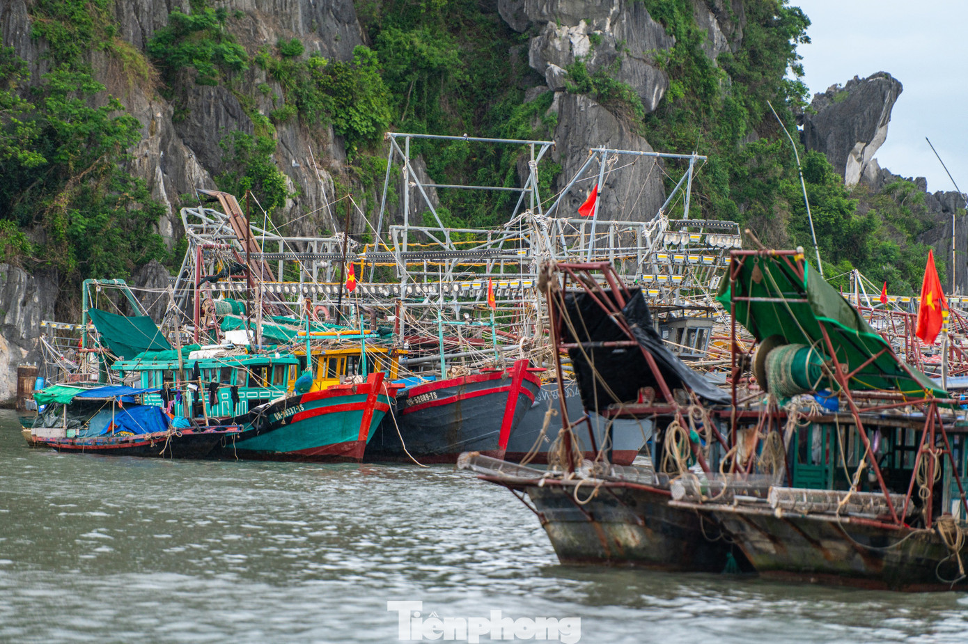 Quảng Ninh cấm biển, tàu thuyền hối hả chạy vào bờ tránh bão- Ảnh 7. Quảng Ninh cấm biển, tàu thuyền hối hả chạy vào bờ tránh bão- Ảnh 7.