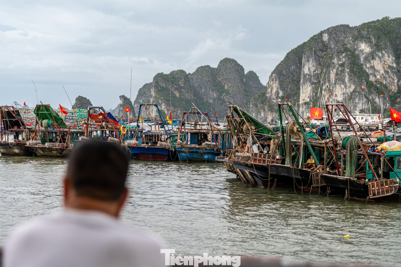Quảng Ninh cấm biển, tàu thuyền hối hả chạy vào bờ tránh bão- Ảnh 12. Quảng Ninh cấm biển, tàu thuyền hối hả chạy vào bờ tránh bão- Ảnh 12.
