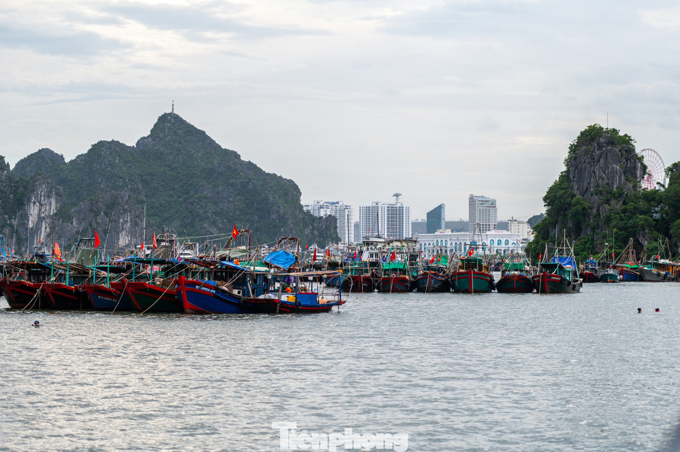 Quảng Ninh cấm biển, tàu thuyền hối hả chạy vào bờ tránh bão- Ảnh 15. Quảng Ninh cấm biển, tàu thuyền hối hả chạy vào bờ tránh bão- Ảnh 15.