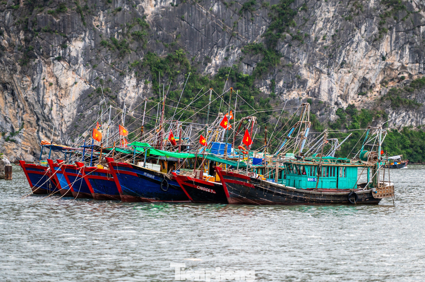 Quảng Ninh cấm biển, tàu thuyền hối hả chạy vào bờ tránh bão- Ảnh 13. Quảng Ninh cấm biển, tàu thuyền hối hả chạy vào bờ tránh bão- Ảnh 13.