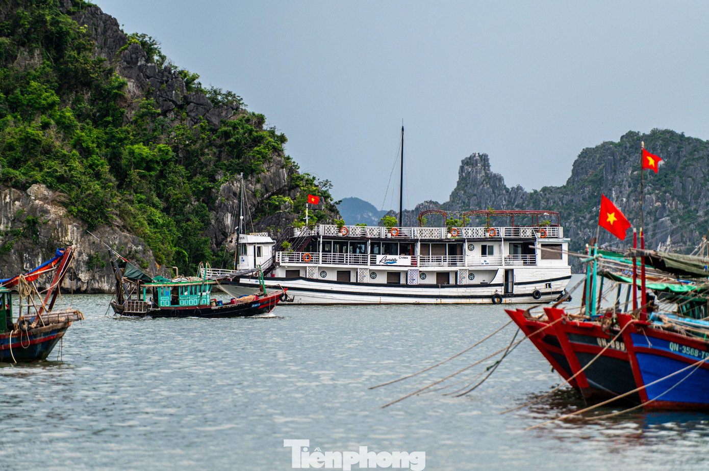 Quảng Ninh cấm biển, tàu thuyền hối hả chạy vào bờ tránh bão- Ảnh 5. Quảng Ninh cấm biển, tàu thuyền hối hả chạy vào bờ tránh bão- Ảnh 5.