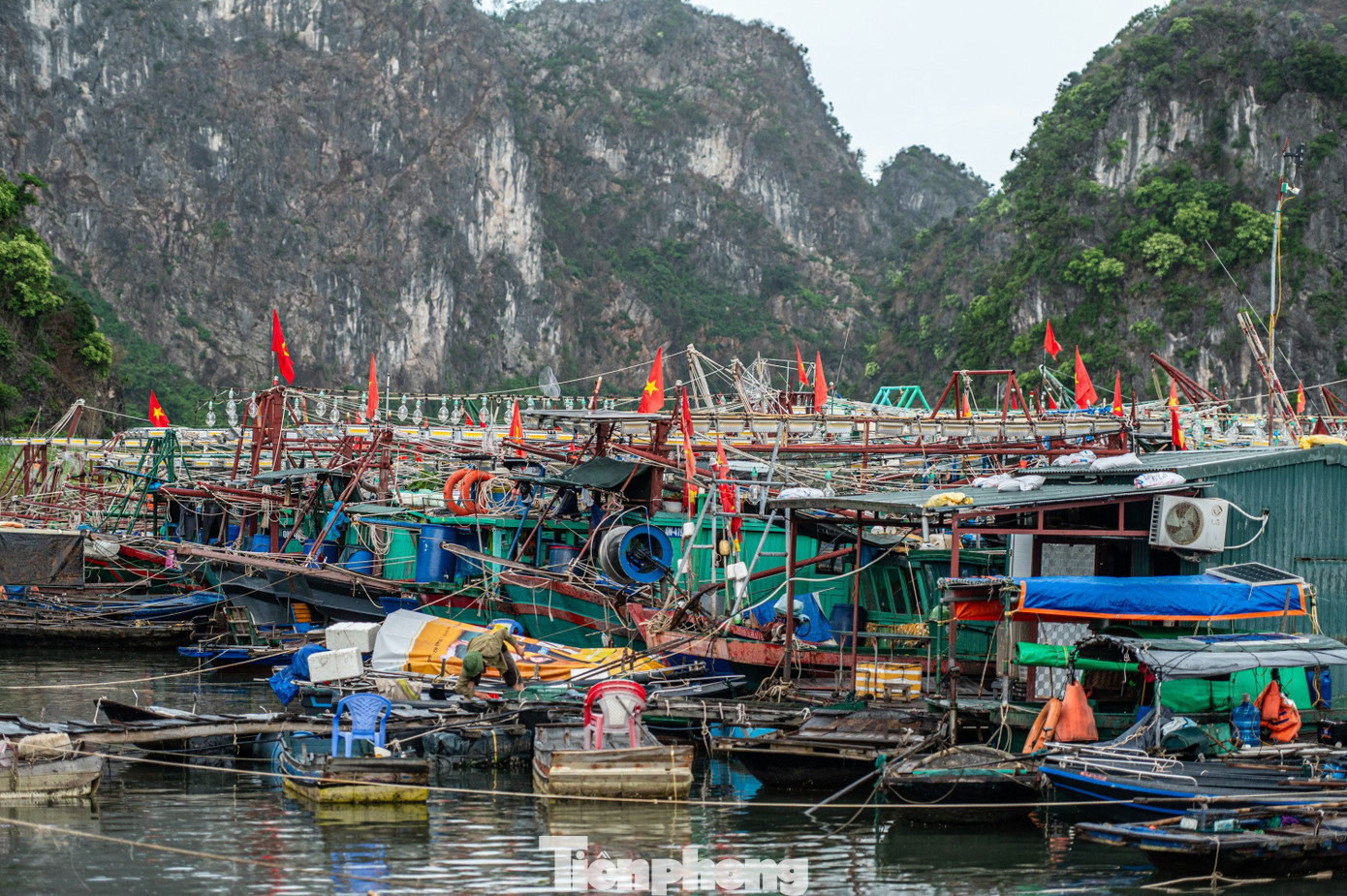 Quảng Ninh cấm biển, tàu thuyền hối hả chạy vào bờ tránh bão- Ảnh 18. Quảng Ninh cấm biển, tàu thuyền hối hả chạy vào bờ tránh bão- Ảnh 18.
