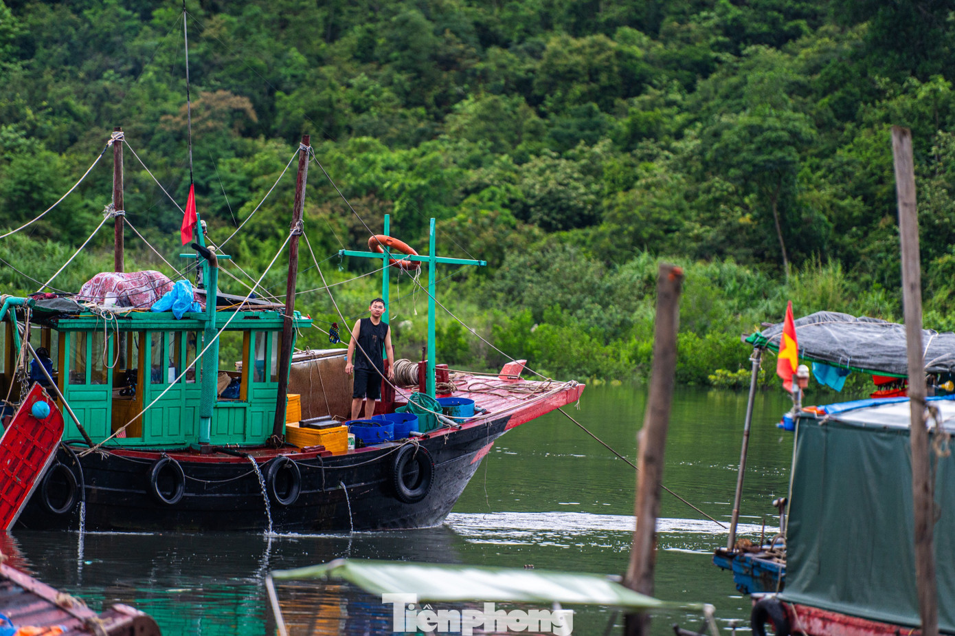 Quảng Ninh cấm biển, tàu thuyền hối hả chạy vào bờ tránh bão- Ảnh 19. Quảng Ninh cấm biển, tàu thuyền hối hả chạy vào bờ tránh bão- Ảnh 19.