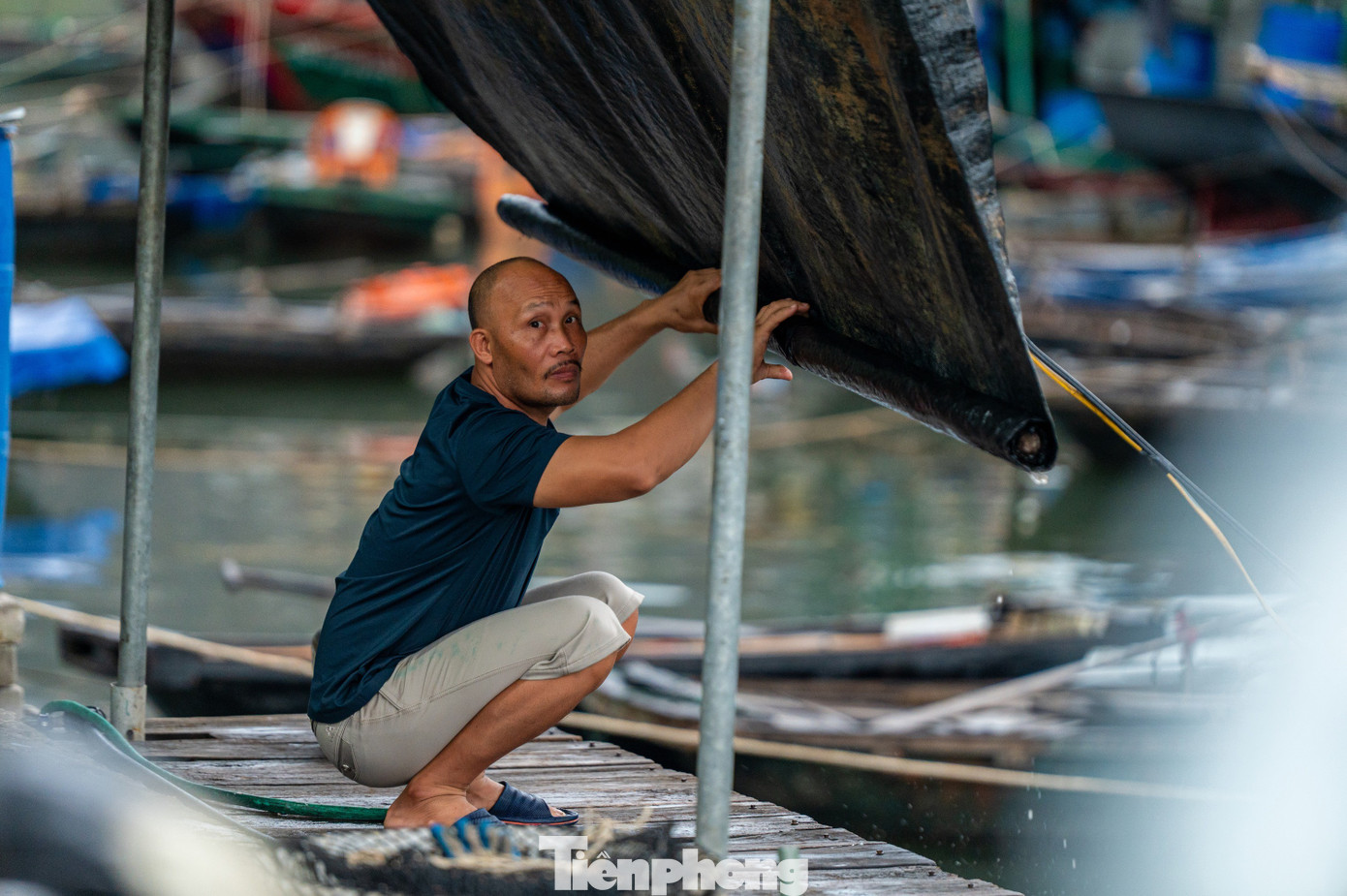 Quảng Ninh cấm biển, tàu thuyền hối hả chạy vào bờ tránh bão- Ảnh 21. Quảng Ninh cấm biển, tàu thuyền hối hả chạy vào bờ tránh bão- Ảnh 21.