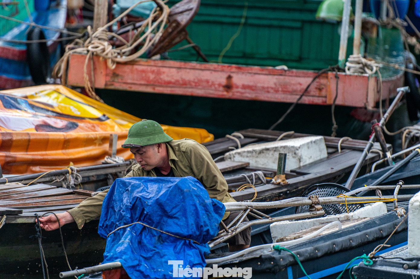 Quảng Ninh cấm biển, tàu thuyền hối hả chạy vào bờ tránh bão- Ảnh 23. Quảng Ninh cấm biển, tàu thuyền hối hả chạy vào bờ tránh bão- Ảnh 23.