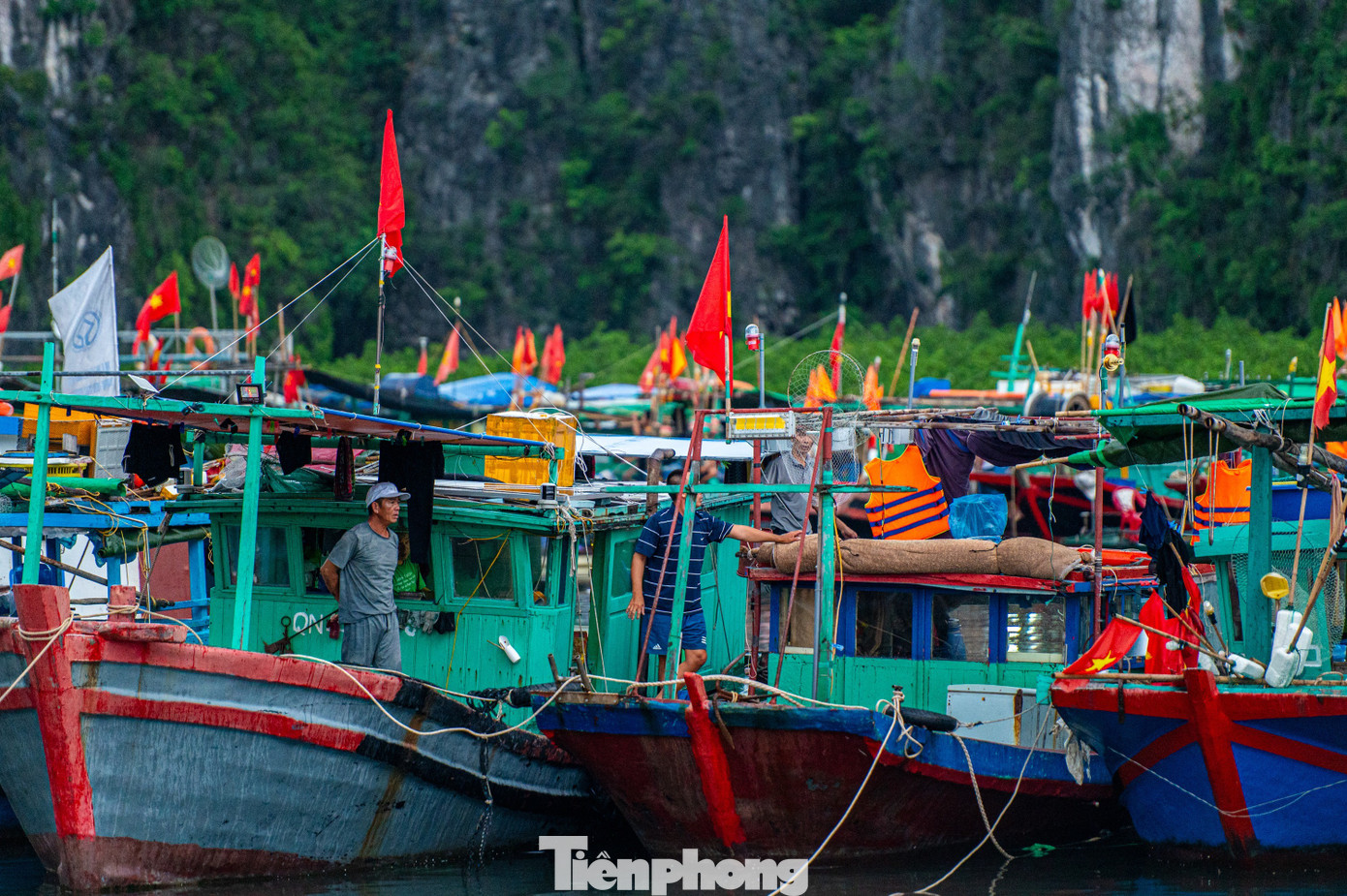 Quảng Ninh cấm biển, tàu thuyền hối hả chạy vào bờ tránh bão- Ảnh 22. Quảng Ninh cấm biển, tàu thuyền hối hả chạy vào bờ tránh bão- Ảnh 22.