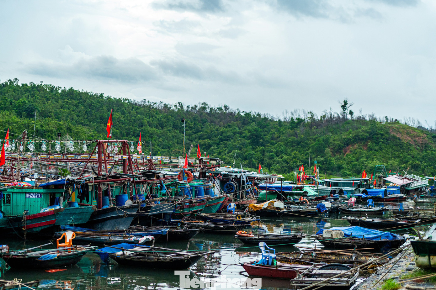 Quảng Ninh cấm biển, tàu thuyền hối hả chạy vào bờ tránh bão- Ảnh 25. Quảng Ninh cấm biển, tàu thuyền hối hả chạy vào bờ tránh bão- Ảnh 25.