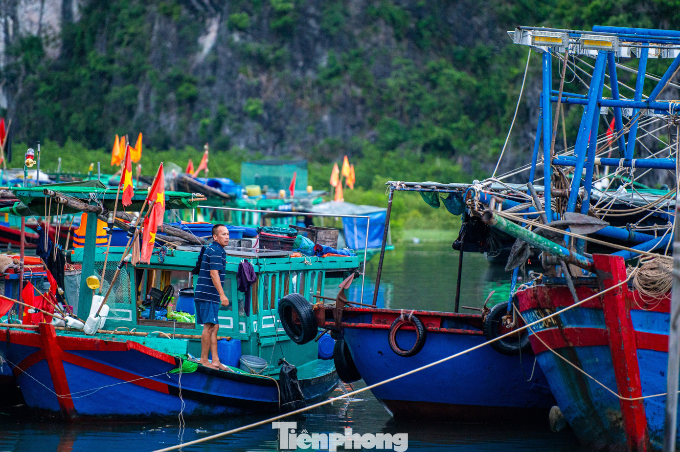 Quảng Ninh cấm biển, tàu thuyền hối hả chạy vào bờ tránh bão- Ảnh 24. Quảng Ninh cấm biển, tàu thuyền hối hả chạy vào bờ tránh bão- Ảnh 24.
