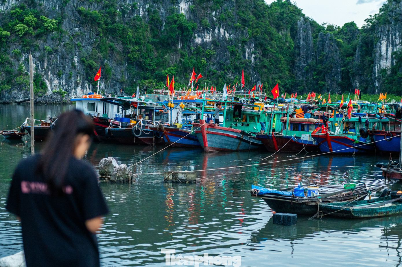 Quảng Ninh cấm biển, tàu thuyền hối hả chạy vào bờ tránh bão- Ảnh 26. Quảng Ninh cấm biển, tàu thuyền hối hả chạy vào bờ tránh bão- Ảnh 26.