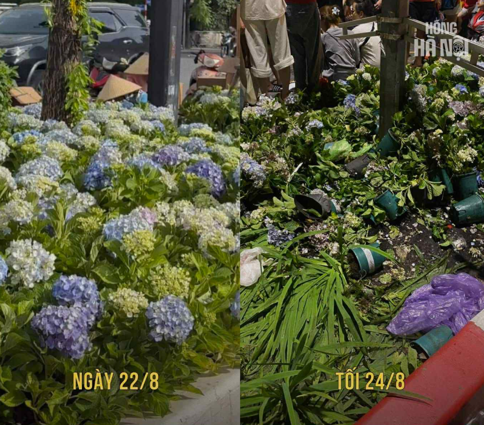 Y&ecirc;u nước, th&igrave; đừng l&agrave;m những điều n&agrave;y!- Ảnh 1.