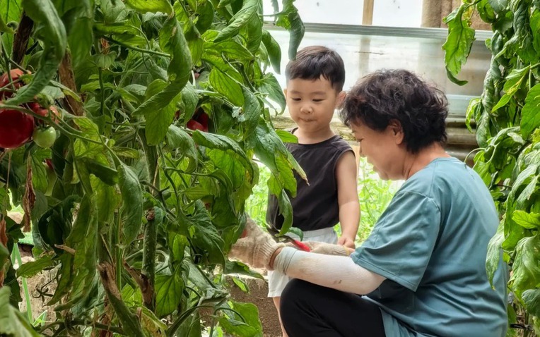 Ông bà có 3 điểm này con cháu vừa sinh ra đã đứng sẵn ở "vạch đích"- Ảnh 1.